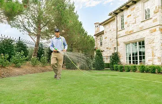 Lawn care expert spraying green lawn grass in Dallas, TX.