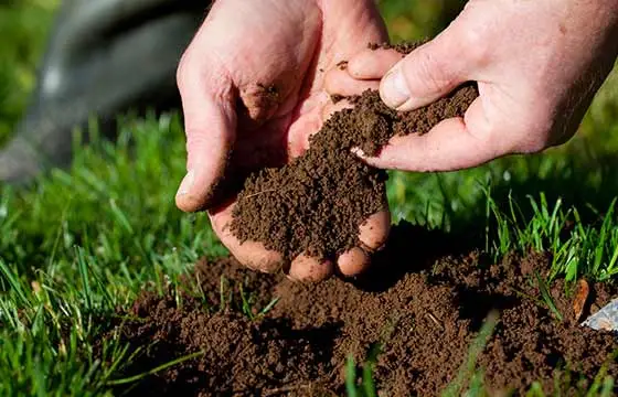 Lawn soil being tested at a property in Crowley, Texas.