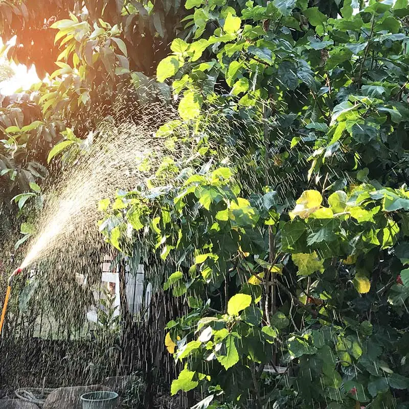 Tree sprayed with insect control near Dallas, TX.